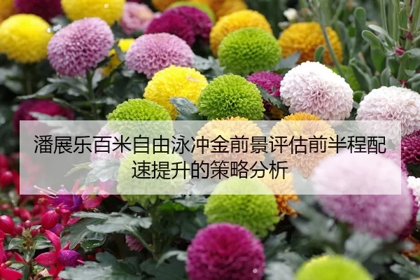 潘展乐百米自由泳冲金前景评估前半程配速提升的策略分析