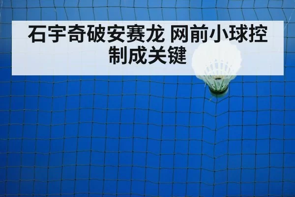 badminton net shot